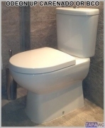 Asiento inodoro ODEON UP 15.50 PANACHE original AMORTIGUADO tapawc Jacob Delafon
